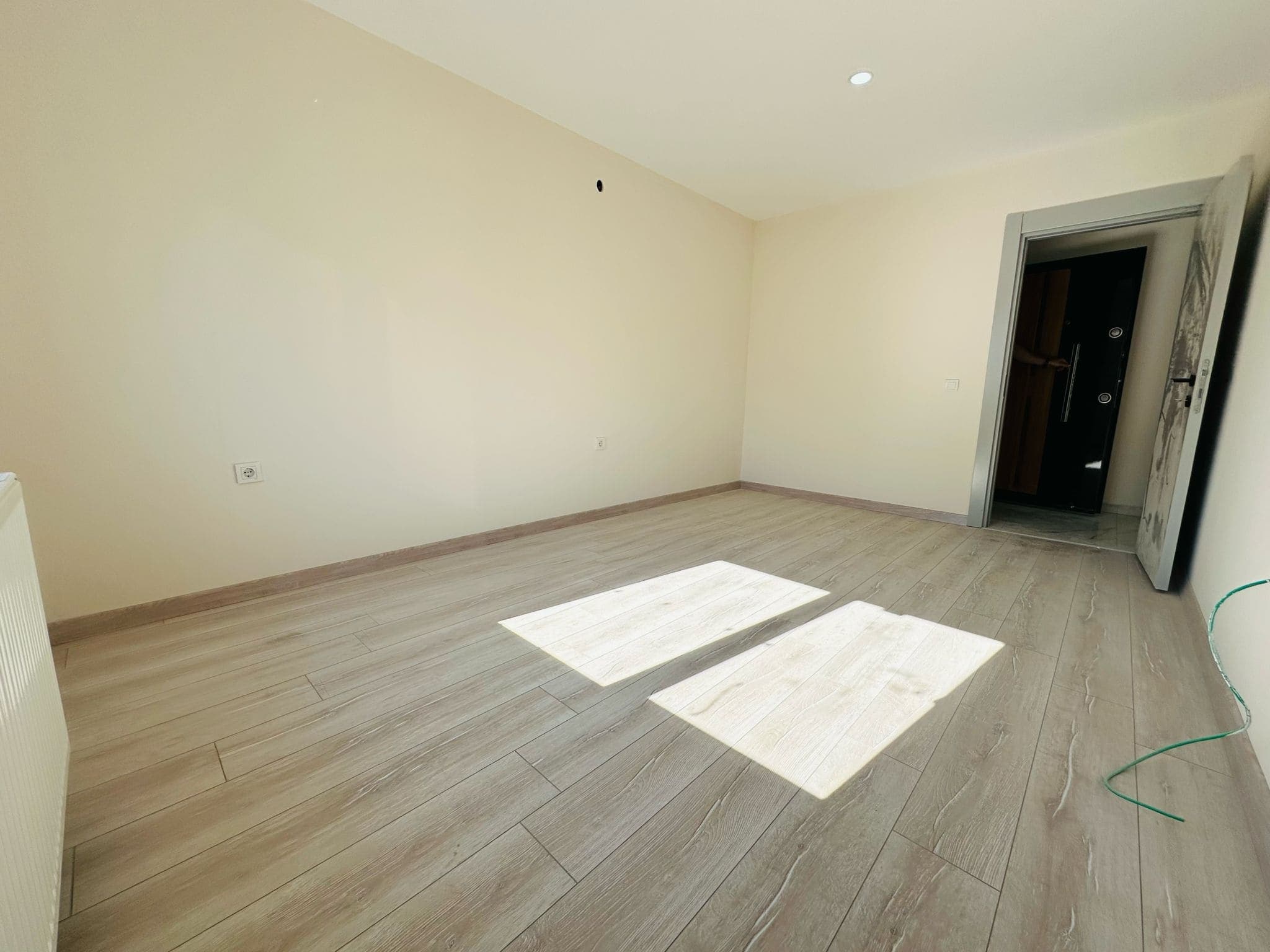 test (13).jpeg